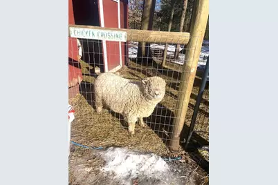 6330 Timberland Drive, Fruitport, MI 49415 - Photo 17