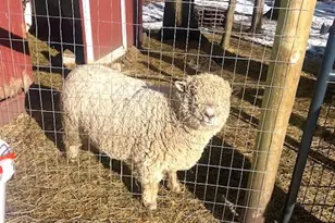 6330 Timberland Dr, Fruitport, MI 49415 - Photo 17