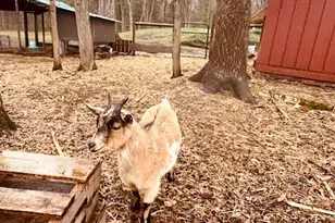 6330 Timberland Dr, Fruitport, MI 49415 - Photo 9