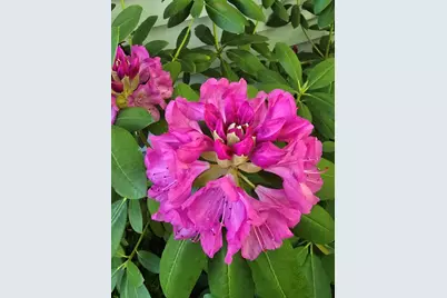 2940 Eldora Court SW, Byron Center, MI 49315 - Photo 13