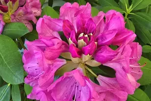 2940 Eldora Ct SW, Byron Center, MI 49315 - Photo 13