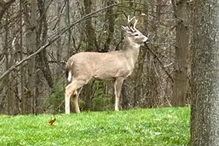 7606 N 46th St, Augusta, MI 49012 - Photo 53