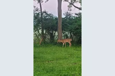 208 Glasgow Road, Jackson, MI 49201 - Photo 71