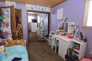 229 Palmer Ave, Colon, MI 49040 - Photo 39