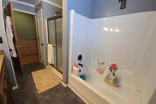 229 Palmer Ave, Colon, MI 49040 - Photo 35