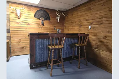 229 Palmer Avenue, Colon, MI 49040 - Photo 47