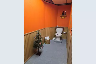 229 Palmer Avenue, Colon, MI 49040 - Photo 51