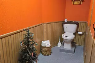 229 Palmer Ave, Colon, MI 49040 - Photo 51