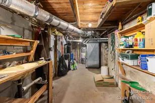191 Beechwood Dr SW, Stanton, MI 48888 - Photo 25