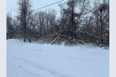 Vl Mt. Zion Street, Cassopolis, MI 49031 - Photo 9