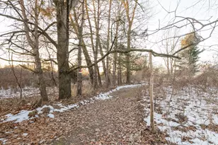 2917 W Lincoln Ave, Ionia, MI 48846 - Photo 61