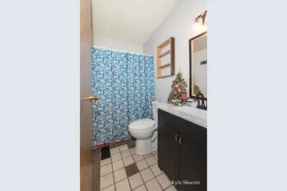 2917 W Lincoln Avenue, Ionia, MI 48846 - Photo 29