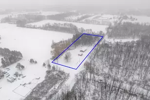 8551 Carlson Rd, Sheridan, MI 48884 - Photo 3