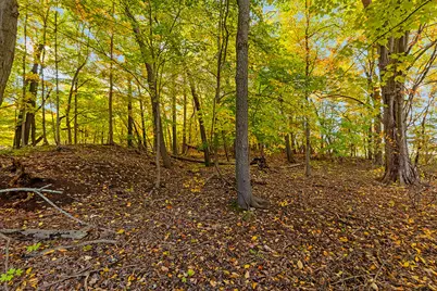 10616 White Birch Drive, Allendale, MI 49401 - Photo 69