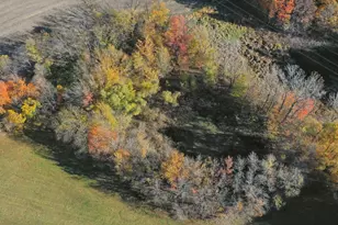 W Wagner Rd, Buchanan, MI 49107 - Photo 5