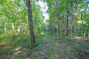 31664 Fish Hatchery Rd, Kalamazoo, MI 49009 - Photo 177