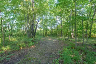 31664 Fish Hatchery Rd, Kalamazoo, MI 49009 - Photo 181