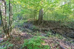 31664 Fish Hatchery Rd, Kalamazoo, MI 49009 - Photo 175