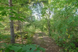 31664 Fish Hatchery Rd, Kalamazoo, MI 49009 - Photo 81