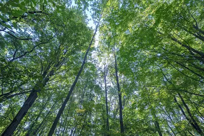 31664 Fish Hatchery Road, Kalamazoo, MI 49009 - Photo 79
