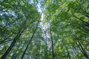 31664 Fish Hatchery Rd, Kalamazoo, MI 49009 - Photo 79