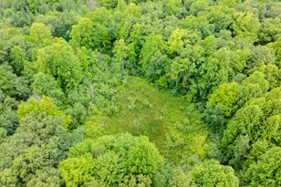 31664 Fish Hatchery Rd, Kalamazoo, MI 49009 - Photo 57
