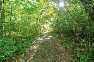 31664 Fish Hatchery Rd, Kalamazoo, MI 49009 - Photo 83