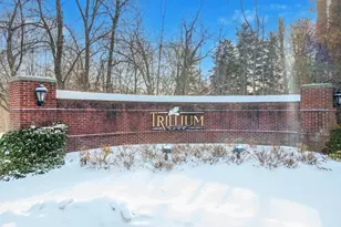 4101 Cameron Circle, Commerce Township, MI 48390 - Photo 33