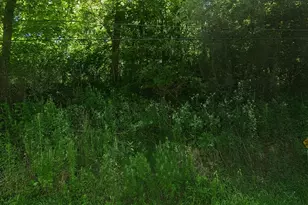 Nazareth Rd, Kalamazoo, MI 49048 - Photo 1