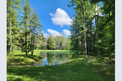 18274 200th Avenue, Leroy, MI 49655 - Photo 45