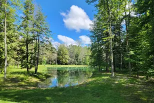 18274 200th Ave, Leroy, MI 49655 - Photo 45