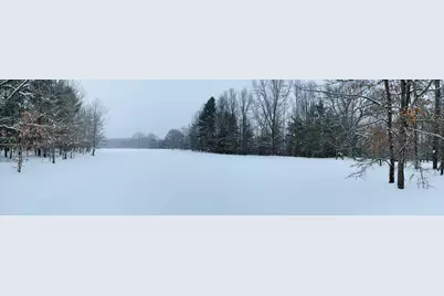 10652 N River Road #D, Irons, MI 49644 - Photo 17