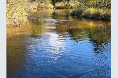 10652 N River Road #D, Irons, MI 49644 - Photo 1