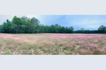 10652 N River Road #D, Irons, MI 49644 - Photo 5