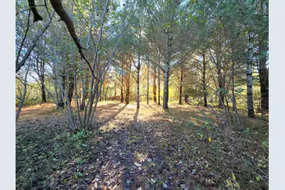 10652 N River Road #D, Irons, MI 49644 - Photo 13