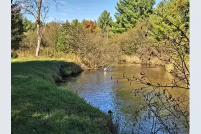 10652 N River Road #D, Irons, MI 49644 - Photo 9