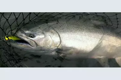 10652 N River Road #D, Irons, MI 49644 - Photo 27