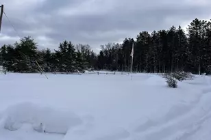 5102 W 4 Mile Rd, Irons, MI 49644 - Photo 21