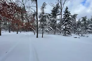 5102 W 4 Mile Rd, Irons, MI 49644 - Photo 31