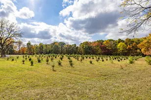 4420 Bull Run Rd, Gregory, MI 48137 - Photo 61