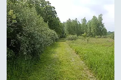 2855 Oakley Road, Stockbridge, MI 49285 - Photo 7