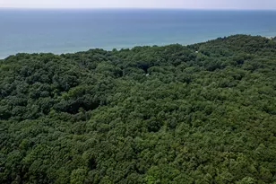 0 S Montgomery Blvd, Pentwater, MI 49449 - Photo 29