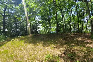 0 S Montgomery Blvd, Pentwater, MI 49449 - Photo 7