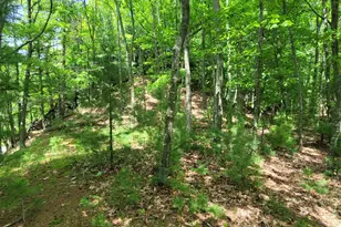 0 S Montgomery Blvd, Pentwater, MI 49449 - Photo 15