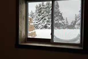 110 Bedford Ct, Cadillac, MI 49601 - Photo 65