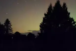 110 Bedford Ct, Cadillac, MI 49601 - Photo 11