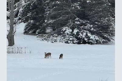 110 Bedford Court, Cadillac, MI 49601 - Photo 15