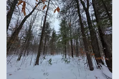 Coates Highway, Brethren, MI 49619 - Photo 3