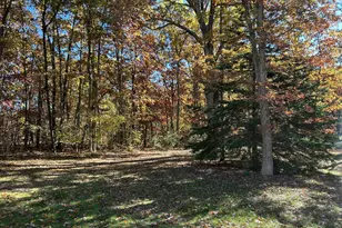 6970 W 8 Mile Rd, Irons, MI 49644 - Photo 23