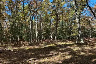 6970 W 8 Mile Rd, Irons, MI 49644 - Photo 21